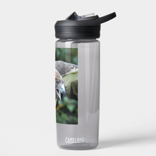 Rotschwanz-Hawk-Foto Trinkflasche (Links)