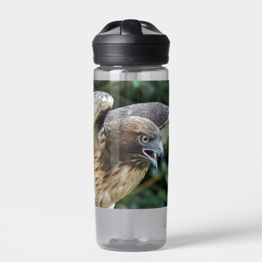 Rotschwanz-Hawk-Foto Trinkflasche (Vorderseite)