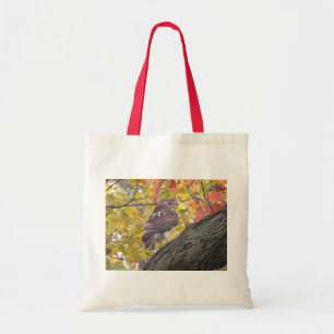 Rotschwanz Hawk in der HerbstTasche. Tragetasche