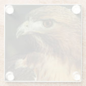 Rotschwanz-Hawk-Untersetzer Glasuntersetzer (Rückseite)