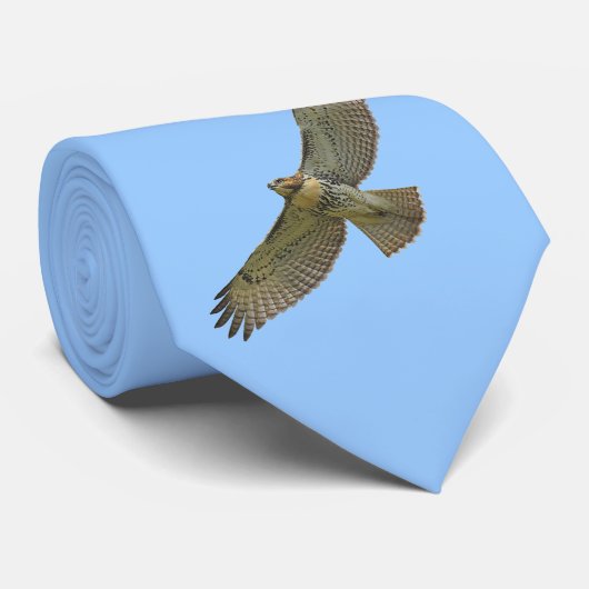 RotSchwanz hochfliegende Krawatte (Gerollt)