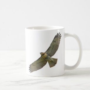 RotSchwanz hochfliegende Tasse