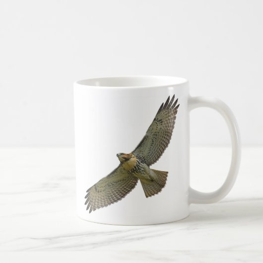 RotSchwanz hochfliegende Tasse (Rechts)