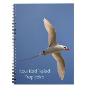 Rotschwanz-Tropikvogel Kauai meine Fotografie Notizblock