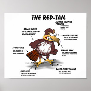 Rotschwanzbussard Cartoon Poster