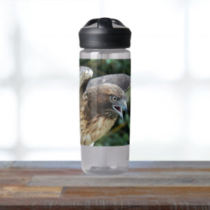 Rotschwanzbussard-Foto Trinkflasche