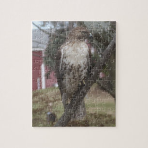 Rotschwanzbussard im Baum Puzzle
