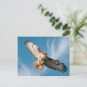 Rotschwanzbussard Postkarte (Stehend Vorderseite)