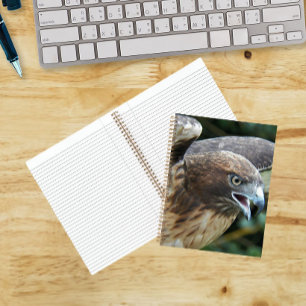 Rotschwanzbussard-Raptor-Foto Notizblock