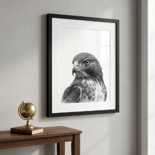 Rotschwanzbussard Vogelporträt Schwarz Weiß Poster