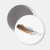 Rotschwanzbussardfeder Magnet (Vorderseite/Rückseite)
