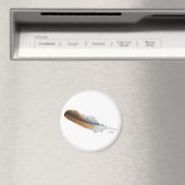 Rotschwanzbussardfeder Magnet (In Situ (Geschirrspüler))