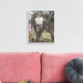 Rotschwanzfalken 8 Zoll x 10 Zoll Leinwanddruck (Insitu (Wohnzimmer))