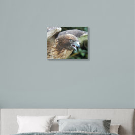 Rotschwanzfalken-Foto Schaumstoff Fotofliesen