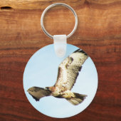 Rotschwanzfalken im Foto Schlüsselanhänger (Vorderseite)