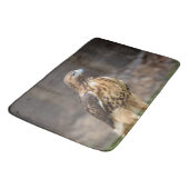 Rotschwanzfalken im Hudson-Tal Badematte (Schrägansicht)