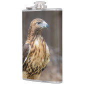 Rotschwanzfalken im Hudson-Tal Flachmann (Links)