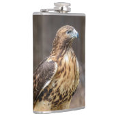 Rotschwanzfalken im Hudson-Tal Flachmann (Rechts)