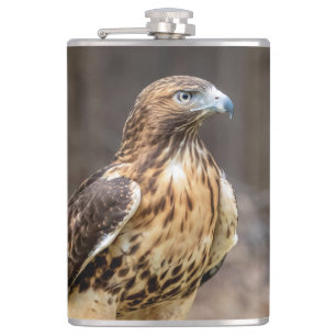 Rotschwanzfalken im Hudson-Tal Flachmann