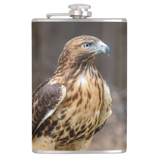 Rotschwanzfalken im Hudson-Tal Flachmann (Vorderseite)