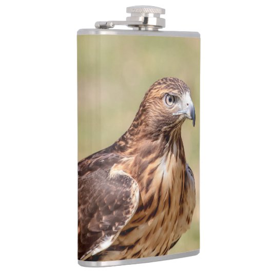 Rotschwanzfalken im Hudson-Tal Flachmann (Rechts)