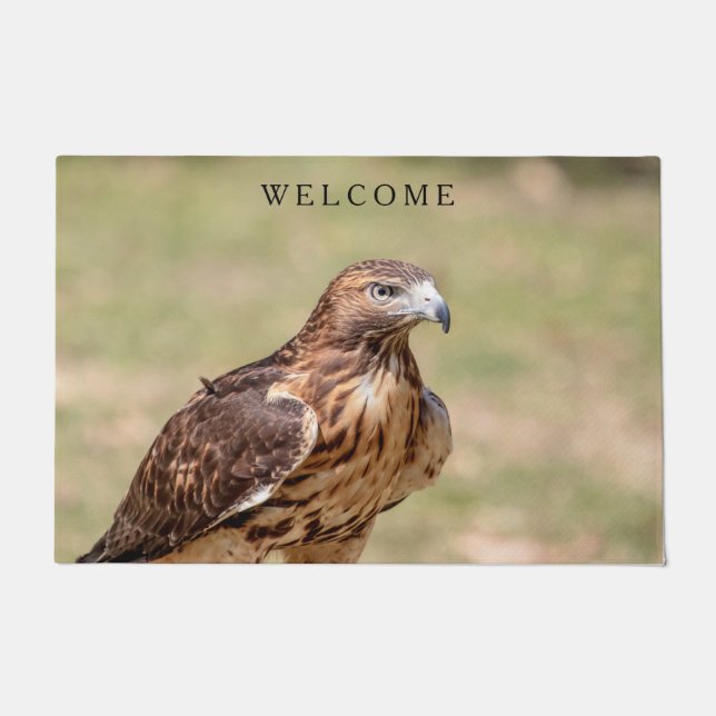 Rotschwanzfalken im Hudson-Tal Fußmatte (Vorderseite)