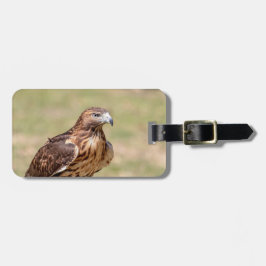 Rotschwanzfalken im Hudson-Tal Gepäckanhänger