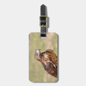 Rotschwanzfalken im Hudson-Tal Gepäckanhänger (Vorderseite vertikal)