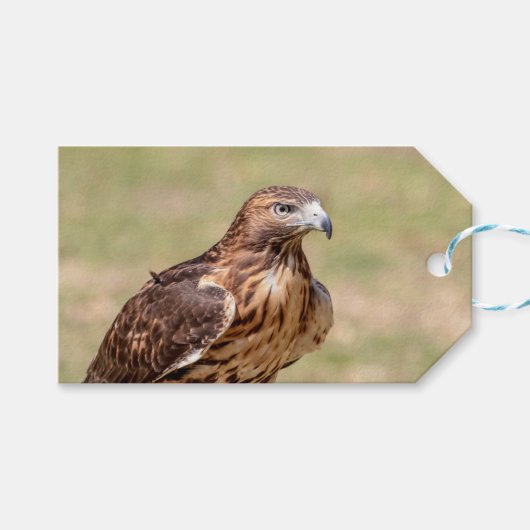 Rotschwanzfalken im Hudson-Tal Geschenkanhänger (Vorderseite (Horizontal))