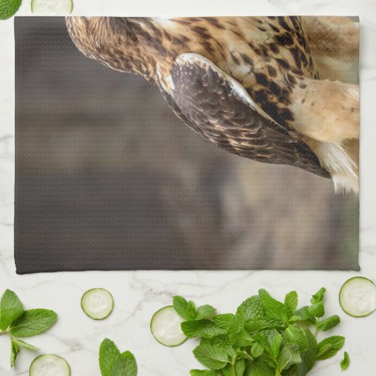 Rotschwanzfalken im Hudson-Tal Geschirrtuch (Gefaltet)
