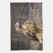 Rotschwanzfalken im Hudson-Tal Geschirrtuch (Vertikal)