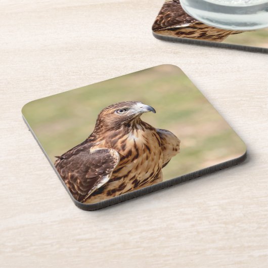 Rotschwanzfalken im Hudson-Tal Getränkeuntersetzer (Linke Seite)