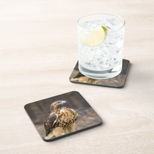 Rotschwanzfalken im Hudson-Tal Getränkeuntersetzer (Rechte Seite)