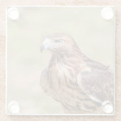 Rotschwanzfalken im Hudson-Tal Glasuntersetzer (Rückseite)