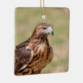 Rotschwanzfalken im Hudson-Tal Keramikornament (Rechts)