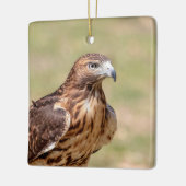 Rotschwanzfalken im Hudson-Tal Keramikornament (Links)