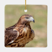Rotschwanzfalken im Hudson-Tal Keramikornament (Rückseite)