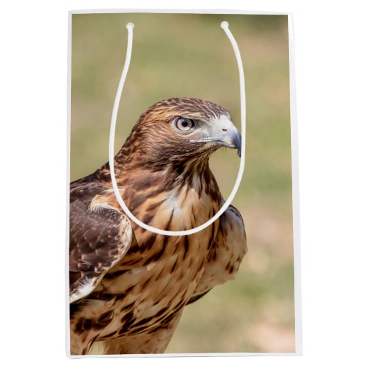 Rotschwanzfalken im Hudson-Tal Mittlere Geschenktüte (Vorderseite)