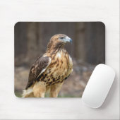 Rotschwanzfalken im Hudson-Tal Mousepad (Mit Mouse)