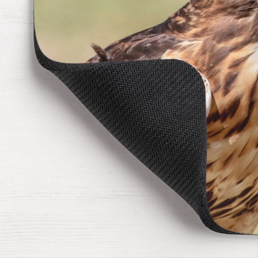 Rotschwanzfalken im Hudson-Tal Mousepad (Ecke)