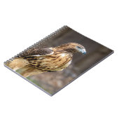 Rotschwanzfalken im Hudson-Tal Notizblock (Linke Seite)