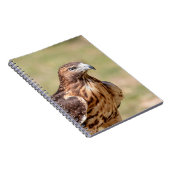 Rotschwanzfalken im Hudson-Tal Notizblock (Rechte Seite)