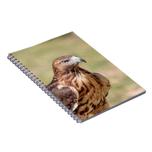 Rotschwanzfalken im Hudson-Tal Notizblock (Rechte Seite)