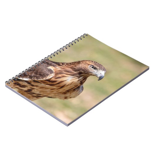 Rotschwanzfalken im Hudson-Tal Notizblock (Linke Seite)