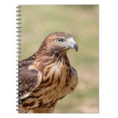 Rotschwanzfalken im Hudson-Tal Notizblock (Vorderseite)