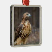Rotschwanzfalken im Hudson-Tal Ornament Aus Metall (Rechts)