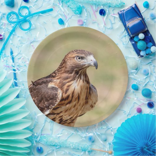 Rotschwanzfalken im Hudson-Tal Pappteller (Party)