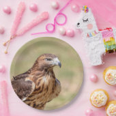 Rotschwanzfalken im Hudson-Tal Pappteller (Party)