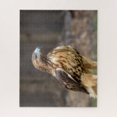 Rotschwanzfalken im Hudson-Tal Puzzle (Vertikal)