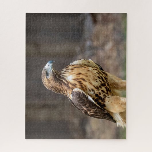 Rotschwanzfalken im Hudson-Tal Puzzle (Vertikal)